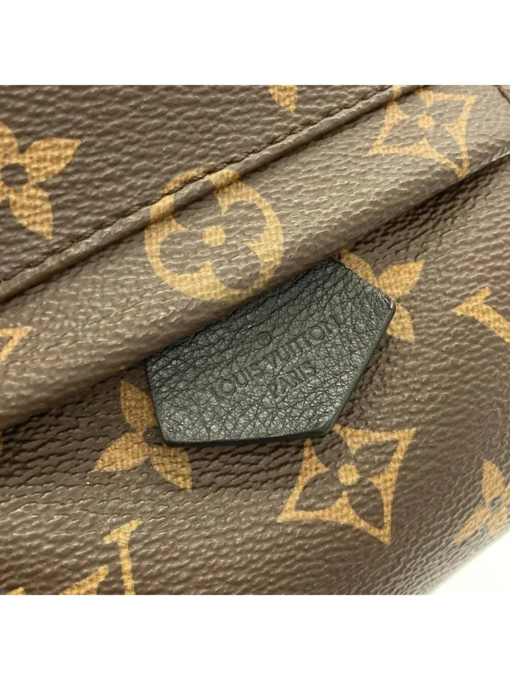 Louis Vuitton Monogram Palm Spring Backpack Mini - Picture 5 of 9